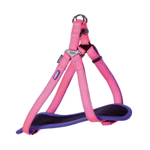 Active Walking Dog Harness - Bloom Burst