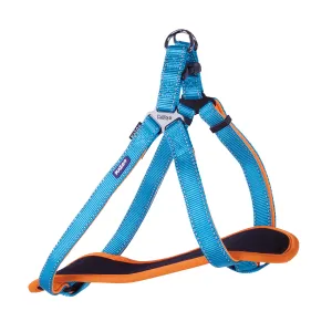 Active Walking Dog Harness - Ocean Sunrise